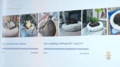 核心｜跨境电商“加快跑” 点燃外贸成长“新引