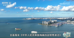 博鳌经济新察看｜海南自贸港拓展全球“伴侣圈