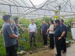 <b>宝鸡市太白县老科协调查调研双帮力科技示范</b>